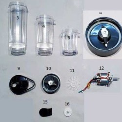 PB 1001 KİŞİSEL BLENDER