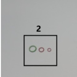 2.PARÇA MAX STEAM O-RING