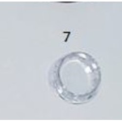 SPORTIC SISE KAPAGI SEFFAF