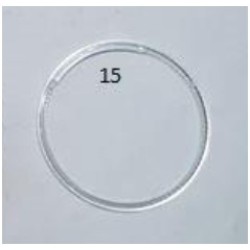 15.PARÇA CEREMONY YENI LED CEMBERI 15.PARÇA CEREMONY YENI LED CEMBERI